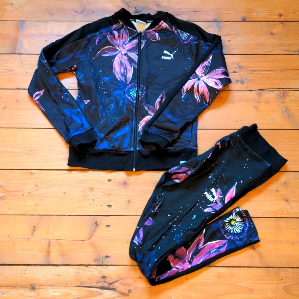 84-EUC Puma track set